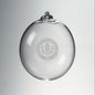 UConn Glass Ornament by Simon Pearce Shot #1