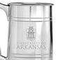University of Arkansas Pewter Stein Shot #2