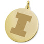 University of Illinois 18K Gold Charm Shot #2