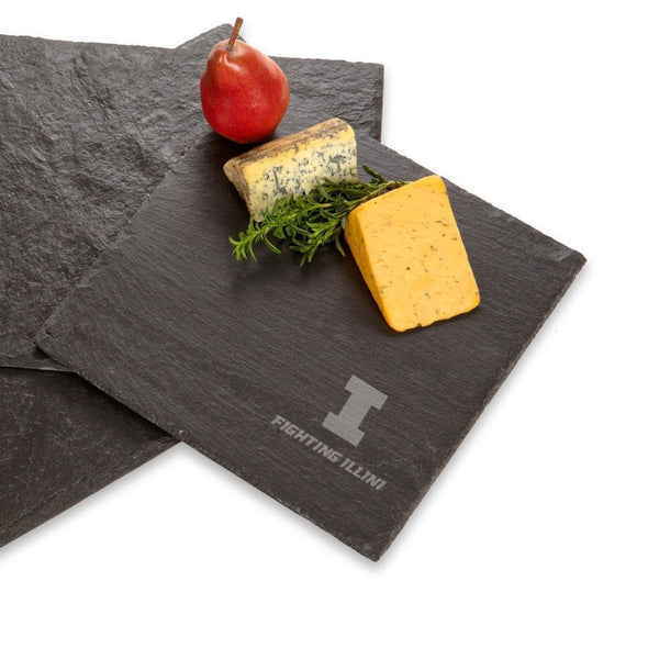 University of Illinois Slate Server Shot #1