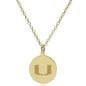 University of Miami 14K Gold Pendant & Chain Shot #2