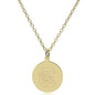University of South Carolina 14K Gold Pendant & Chain Shot #2