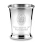University of Tennessee Pewter Julep Cup Shot #2