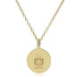 USCGA 14K Gold Pendant & Chain Shot #2