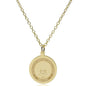 USMMA 14K Gold Pendant & Chain Shot #2