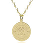 Vanderbilt 14K Gold Pendant & Chain Shot #1
