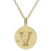 Vermont 14K Gold Pendant & Chain