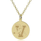 Vermont 18K Gold Pendant & Chain Shot #1