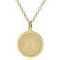 VMI 14K Gold Pendant & Chain Shot #1