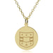 WashU Medicine 14K Gold Pendant & Chain