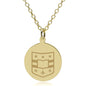 WashU Medicine 14K Gold Pendant & Chain Shot #1