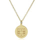 WashU Medicine 14K Gold Pendant & Chain Shot #2