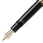 WashU Medicine Montblanc Meisterstück 149 Fountain Pen in Gold Shot #3