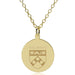 Wharton 14K Gold Pendant & Chain