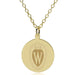 Wisconsin 14K Gold Pendant & Chain