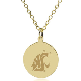 WSU 14K Gold Pendant & Chain Shot #1