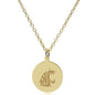 WSU 14K Gold Pendant & Chain Shot #2