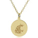 WSU 18K Gold Pendant & Chain