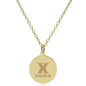 Xavier 14K Gold Pendant & Chain Shot #2