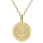 Yale 14K Gold Pendant & Chain Shot #1