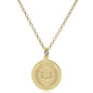 Yale 14K Gold Pendant & Chain Shot #2