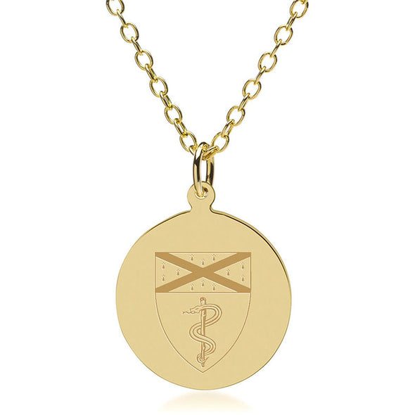 Yale Medicine 14K Gold Pendant & Chain Shot #1